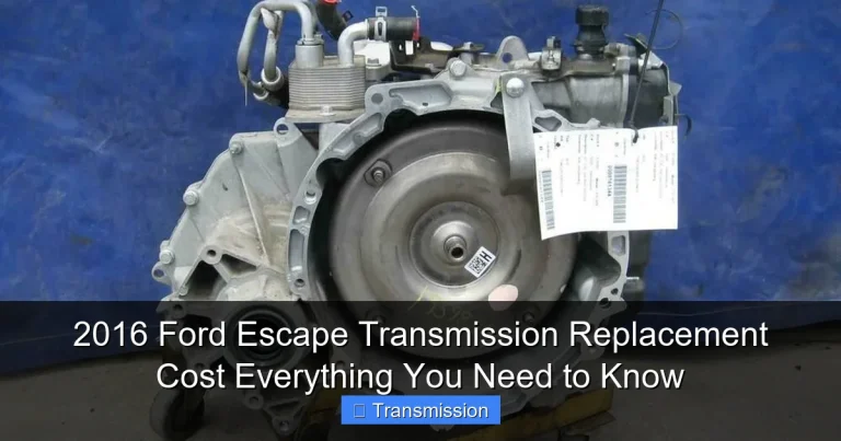 2016 Ford Escape Transmission Replacement Cost Everything You Need to Know