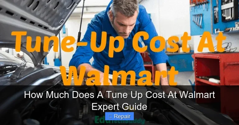 How Much Does A Tune Up Cost At Walmart Expert Guide