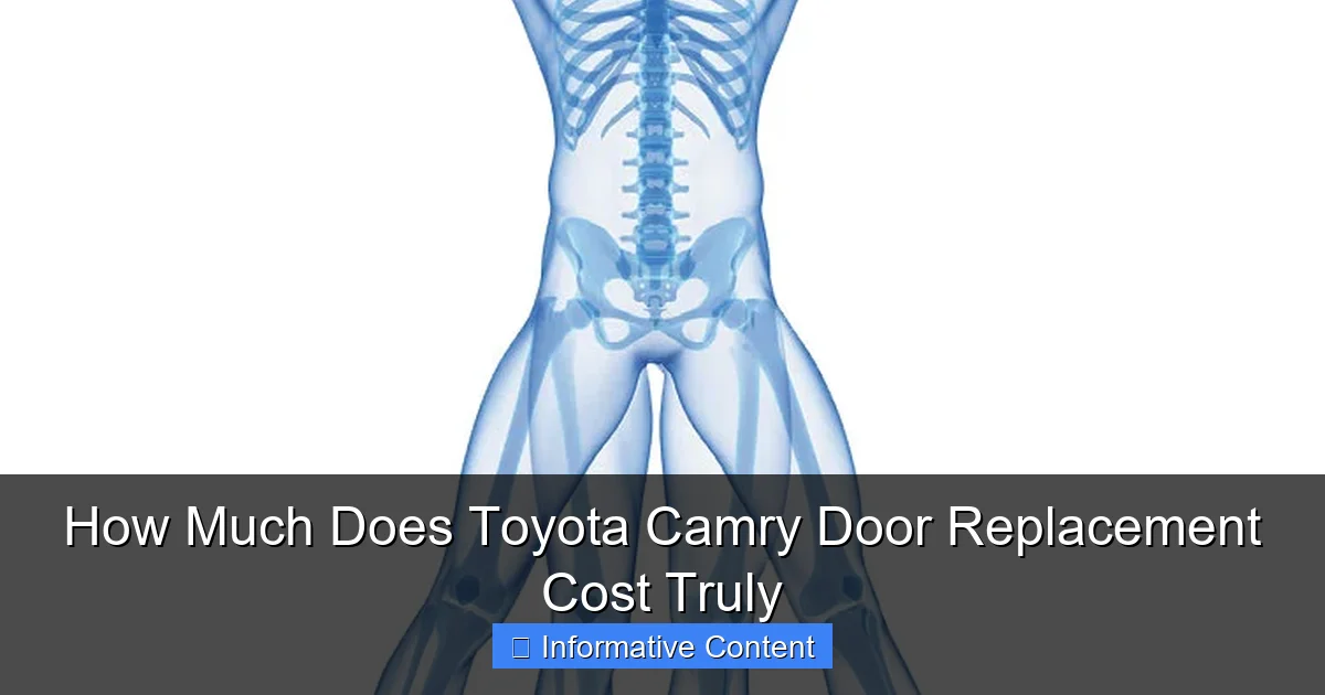 How Much Does Toyota Camry Door Replacement Cost Truly