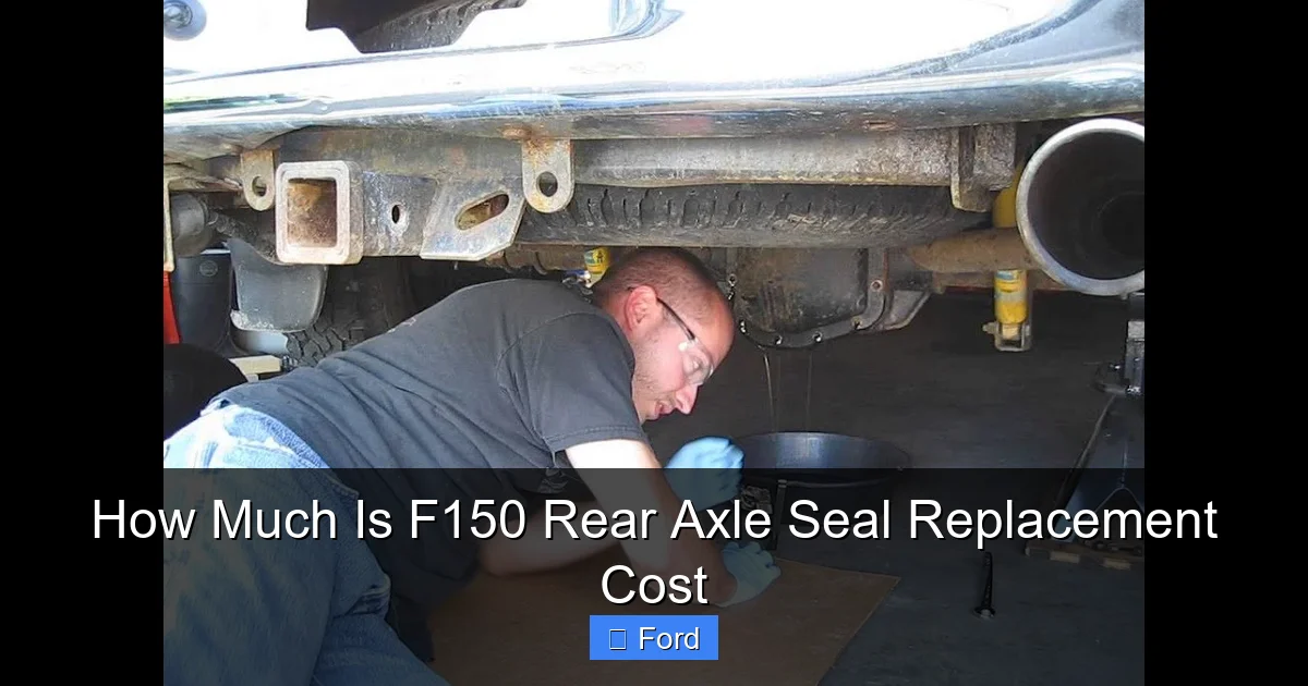 How Much Is F150 Rear Axle Seal Replacement Cost