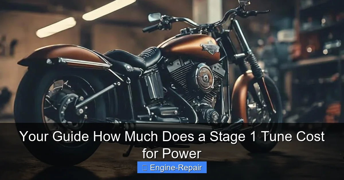 Your Guide How Much Does a Stage 1 Tune Cost for Power