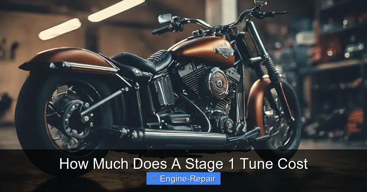 How Much Does A Stage 1 Tune Cost