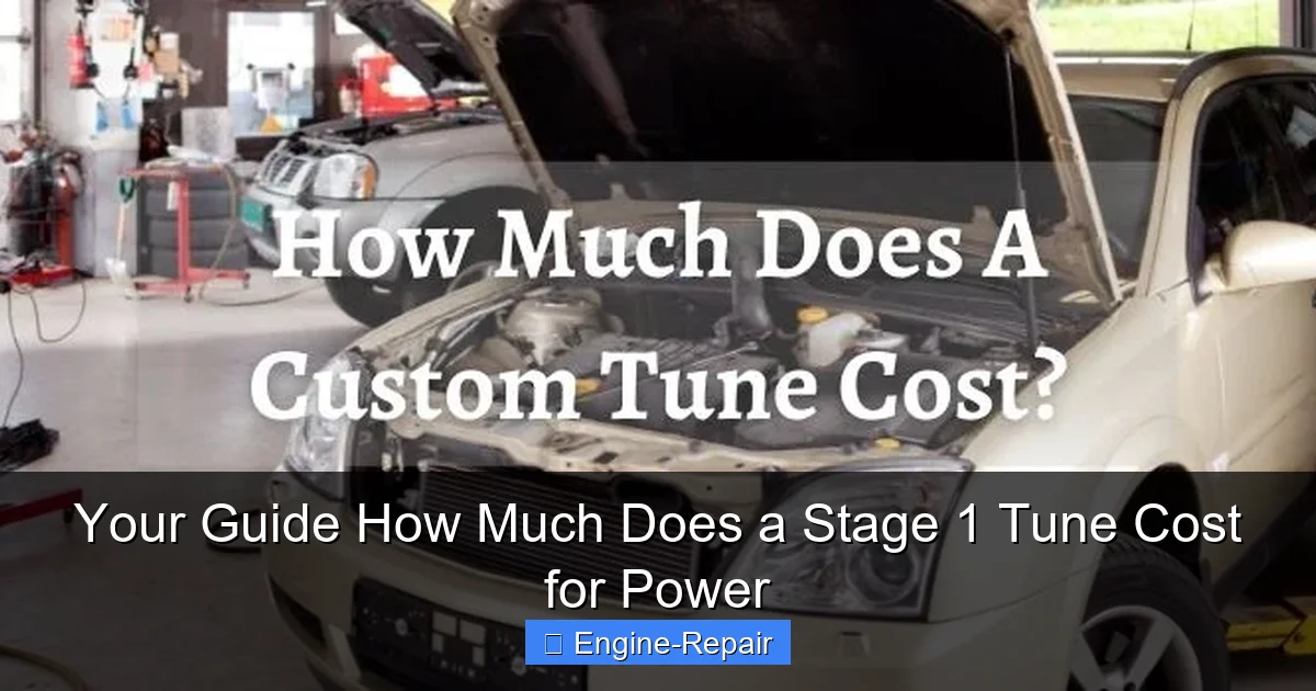 Your Guide How Much Does a Stage 1 Tune Cost for Power